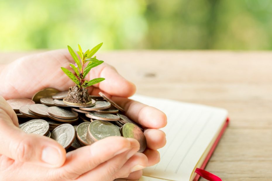 Investasi yang Menguntungkan bagi Pemula