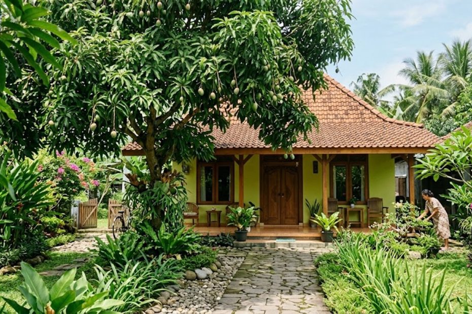Pohon Buah yang Cocok Ditanam di Halaman Rumah